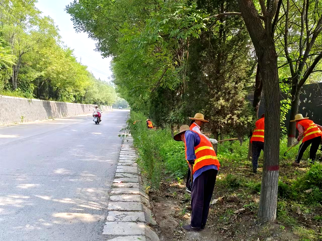 阳城县交通运输局 开展县乡公路路域环境专项整治